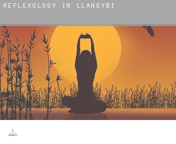 Reflexology in  Llangybi