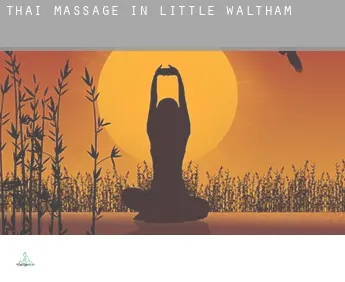 Thai massage in  Little Waltham